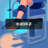 朴树种子（图3）