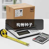 枸骨种子（图4）