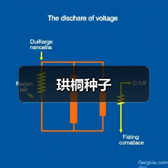 珙桐种子（图3）