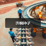 珙桐种子（图4）