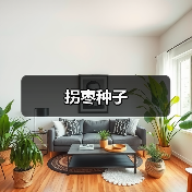 拐枣种子（图2）