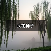 拐枣种子（图3）