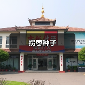 拐枣种子（图4）