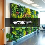 无花果种子(图2) 无花果种子(图2)