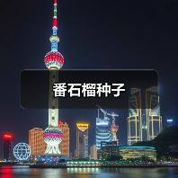 番石榴种子(图2) 番石榴种子(图2)