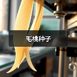 毛桃种子(图3) 毛桃种子(图3)