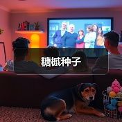 糖槭种子（图1）
