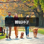 糖槭种子（图3）
