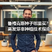 鲁梅克斯种子哪里买？高发芽率种植技术指南（图2）