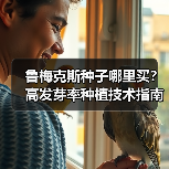 鲁梅克斯种子哪里买？高发芽率种植技术指南（图1）