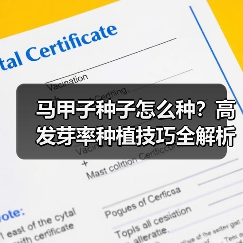 马甲子种子怎么种?高发芽率种植技巧全解析(图2) 马甲子种子怎么种?高发芽率种植技巧全解析(图2)