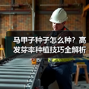 马甲子种子怎么种?高发芽率种植技巧全解析(图3) 马甲子种子怎么种?高发芽率种植技巧全解析(图3)