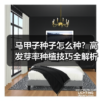 马甲子种子怎么种？高发芽率种植技巧全解析（图4）
