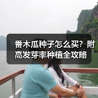 番木瓜种子怎么买？附高发芽率种植全攻略（图1）