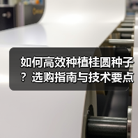 如何高效种植桂圆种子?选购指南与技术要点全解析(图3) 如何高效种植桂圆种子?选购指南与技术要点全解析(图3)