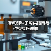 麻疯树种子购买指南与种植技巧详解（图2）