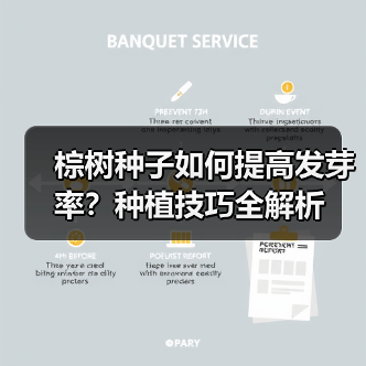 棕树种子如何提高发芽率？种植技巧全解析（图2）