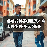鲁冰花种子哪里买?高发芽率种植技巧揭秘(图3) 鲁冰花种子哪里买?高发芽率种植技巧揭秘(图3)