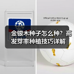 金银木种子怎么种？高发芽率种植技巧详解（图4）