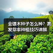 金银木种子怎么种？高发芽率种植技巧详解（图3）