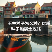 玉兰种子怎么种？优质种子购买全攻略（图1）