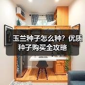 玉兰种子怎么种？优质种子购买全攻略（图4）