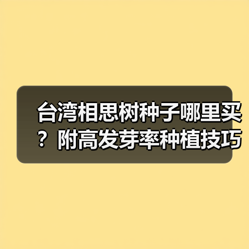 台湾相思树种子哪里买?附高发芽率种植技巧(图4) 台湾相思树种子哪里买?附高发芽率种植技巧(图4)