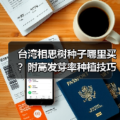 台湾相思树种子哪里买？附高发芽率种植技巧（图3）