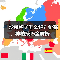 沙棘种子怎么种？价格、种植技巧全解析（图1）