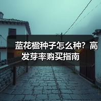 蓝花楹种子怎么种？高发芽率购买指南（图2）