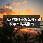 蓝花楹种子怎么种？高发芽率购买指南（图4）