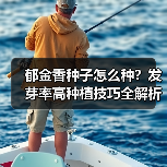 郁金香种子怎么种？发芽率高种植技巧全解析（图3）