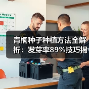 青桐种子种植方法全解析：发芽率89%技巧揭秘（图1）
