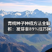 青桐种子种植方法全解析：发芽率89%技巧揭秘（图2）