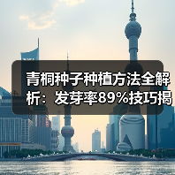 青桐种子种植方法全解析:发芽率89%技巧揭秘(图4) 青桐种子种植方法全解析:发芽率89%技巧揭秘(图4)