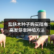 盐肤木种子购买指南：高发芽率种植方法（图4）