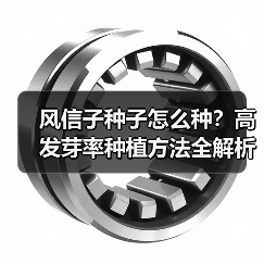 风信子种子怎么种？高发芽率种植方法全解析（图1）