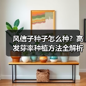 风信子种子怎么种？高发芽率种植方法全解析（图4）