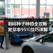 咖啡种子种植全攻略：发芽率95%技巧详解（图1）