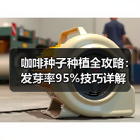 咖啡种子种植全攻略:发芽率95%技巧详解(图4) 咖啡种子种植全攻略:发芽率95%技巧详解(图4)