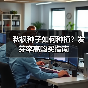 秋枫种子如何种植？发芽率高购买指南（图1）
