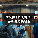 秋枫种子如何种植?发芽率高购买指南(图2) 秋枫种子如何种植?发芽率高购买指南(图2)