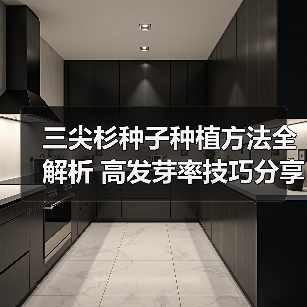 三尖杉种子种植方法全解析 高发芽率技巧分享（图1）