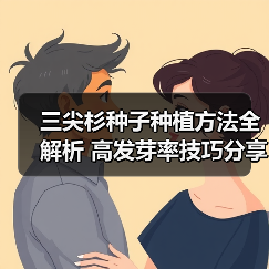 三尖杉种子种植方法全解析 高发芽率技巧分享(图3) 三尖杉种子种植方法全解析 高发芽率技巧分享(图3)