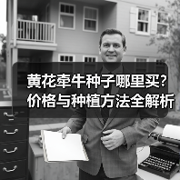 黄花牵牛种子哪里买？价格与种植方法全解析（图1）