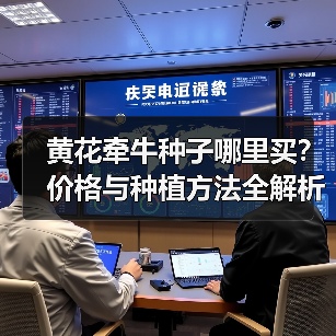 黄花牵牛种子哪里买？价格与种植方法全解析（图2）