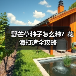 野芒草种子怎么种？花海打造全攻略（图1）