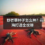 野芒草种子怎么种？花海打造全攻略（图3）