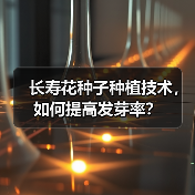 长寿花种子种植技术，如何提高发芽率？（图2）
