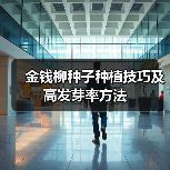 金钱柳种子种植技巧及高发芽率方法（图1）